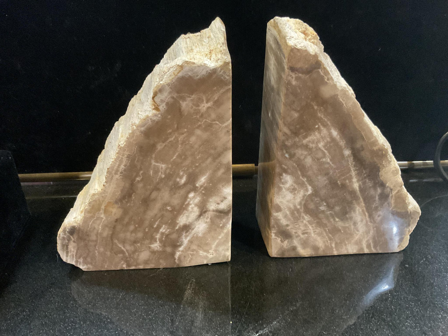 Petrified Wood Book Ends