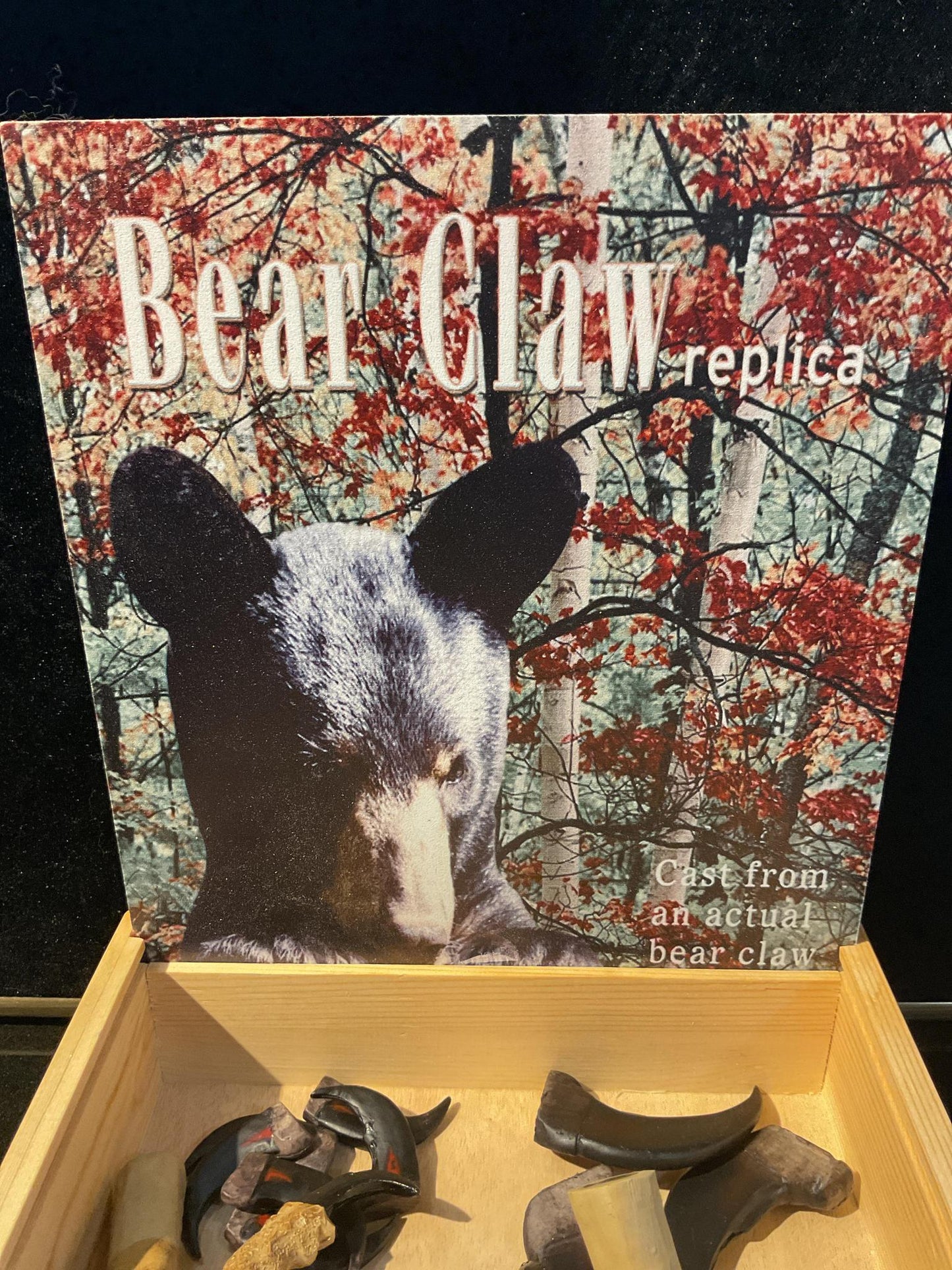 Claws and Paws