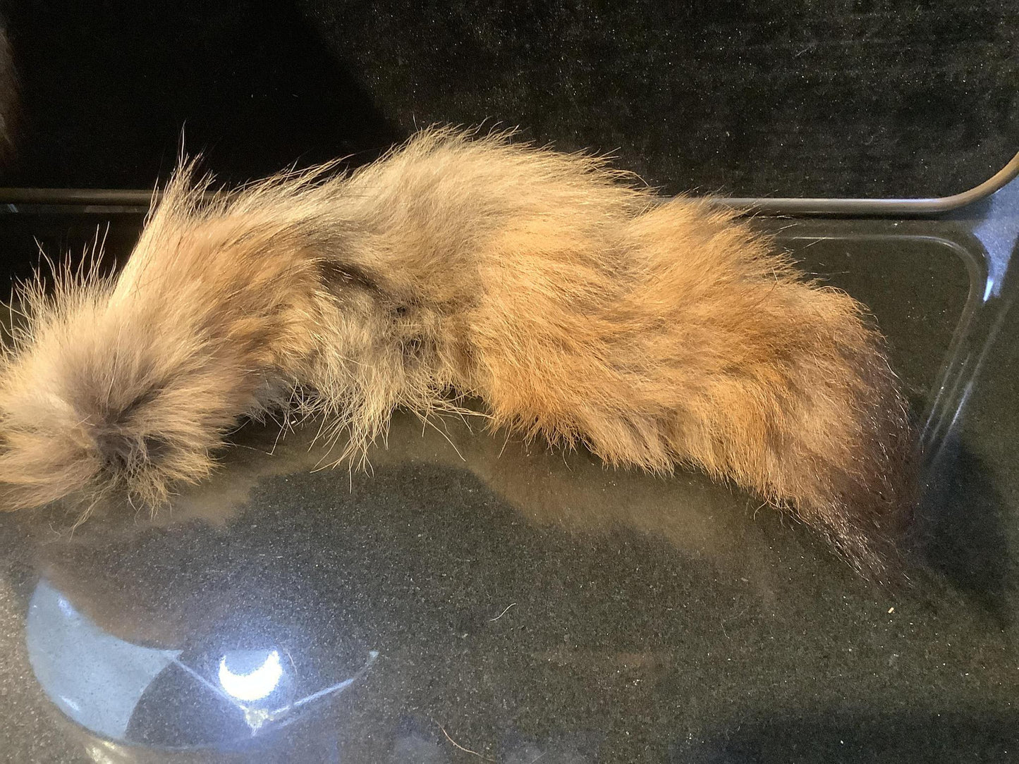 Pelts, Skulls and Tails