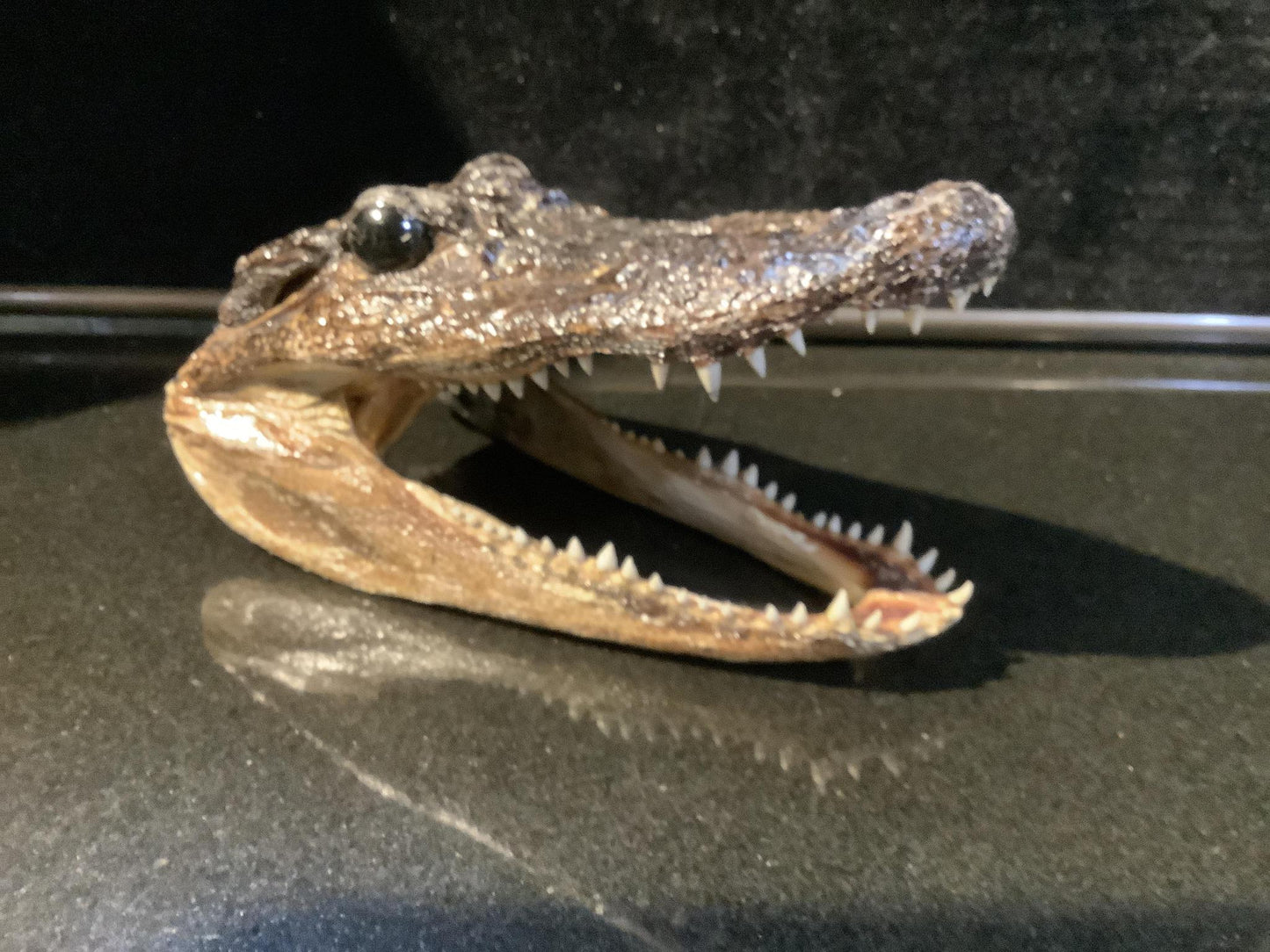 Pelts, Skulls and Tails