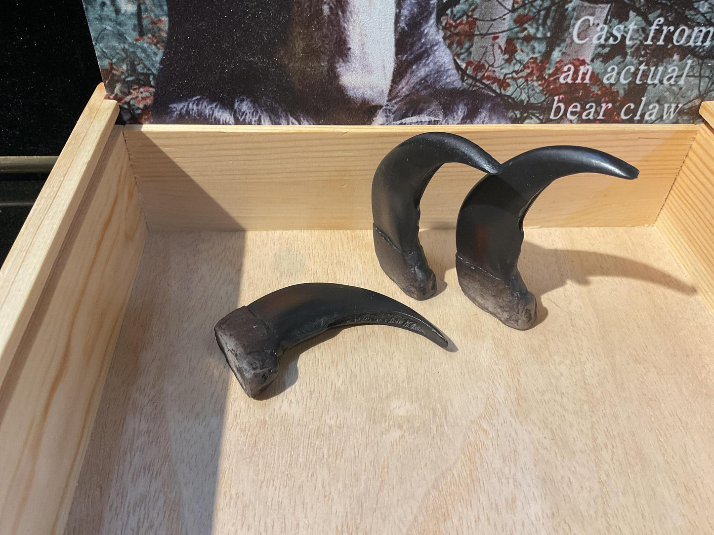 Claws and Paws