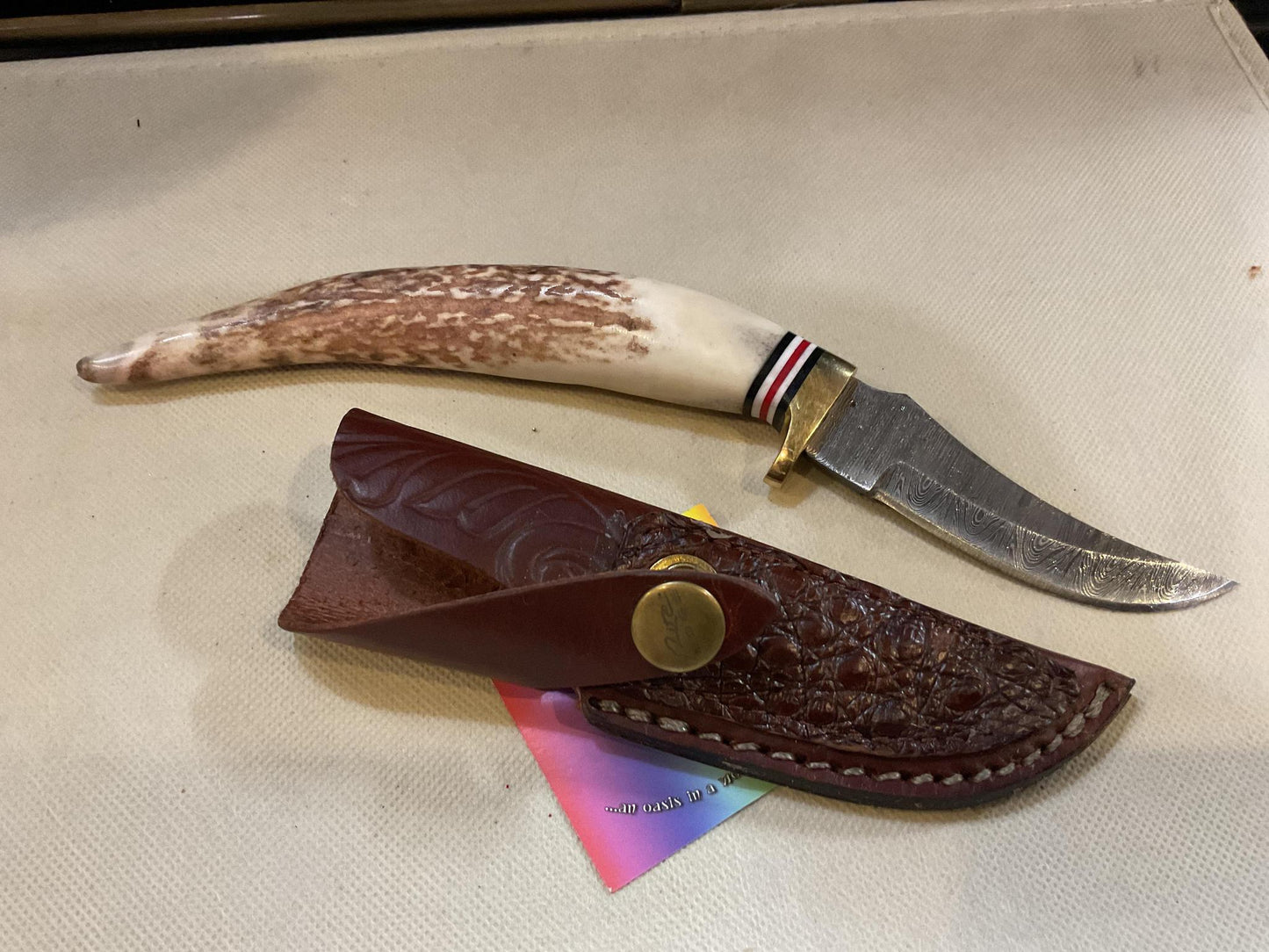 Antler Tip with 3” Trailing point Blade Croc inlay Sheath