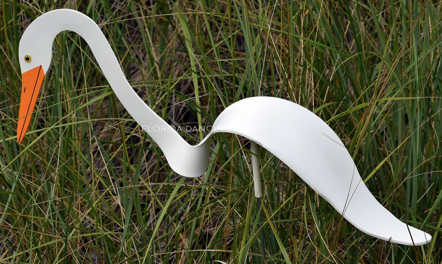 Egret Dancing Bird