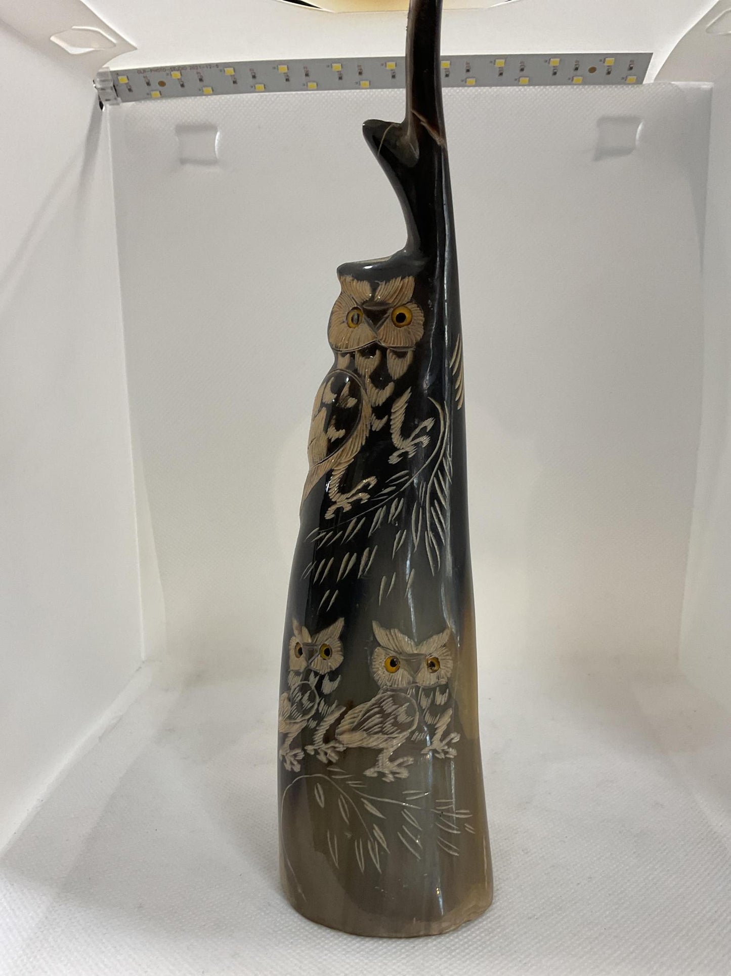 Water Buffalo Horn and Carving