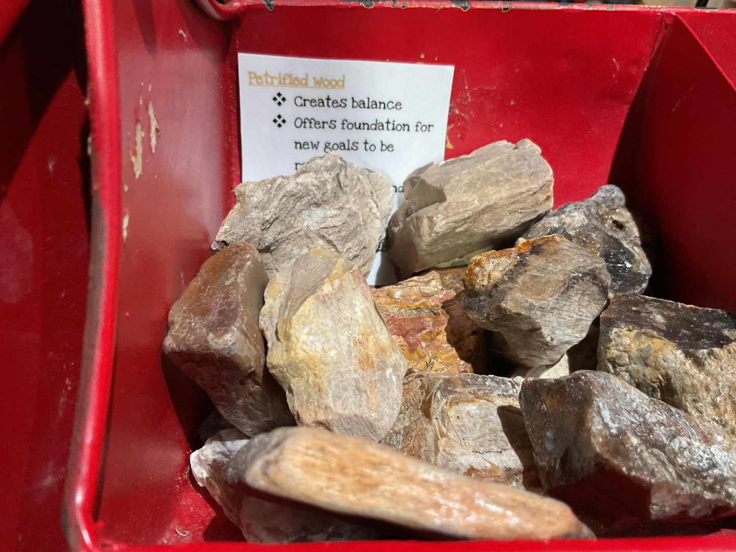 Rough Petrified Wood