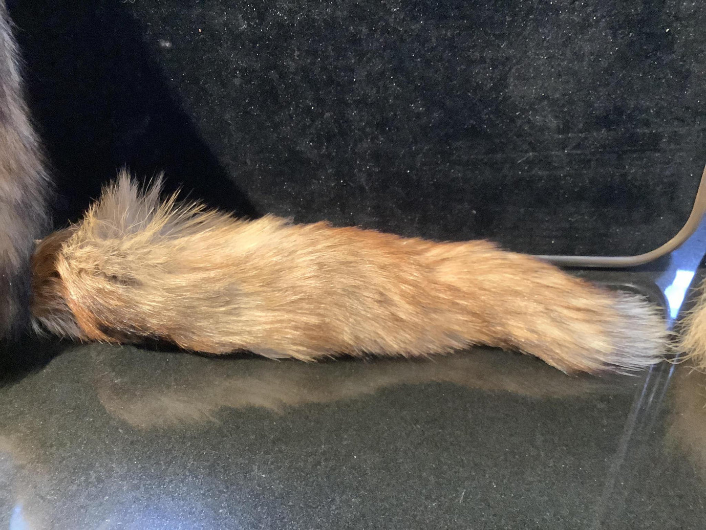 Pelts, Skulls and Tails