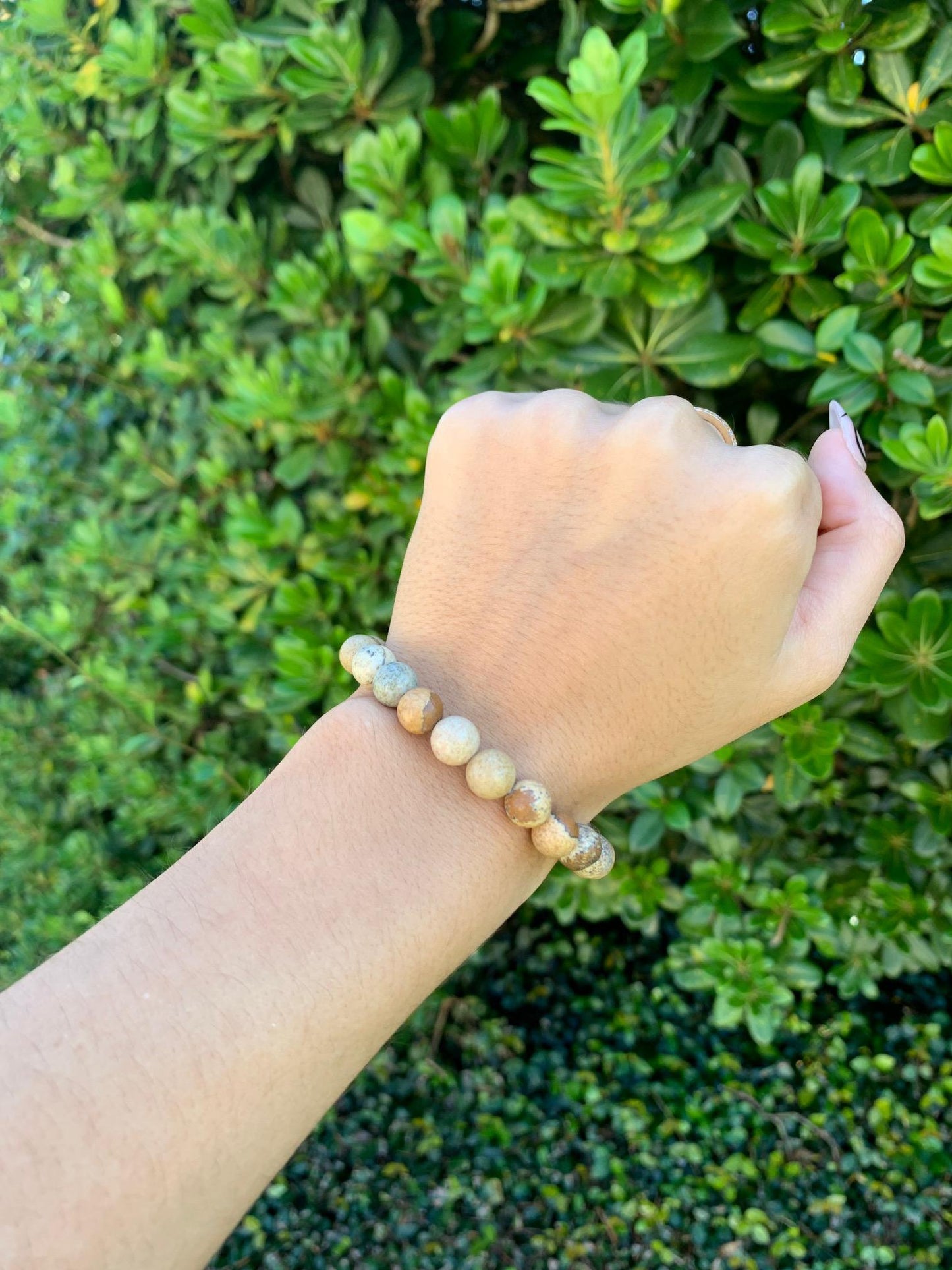 Picture Jasper Natural Stone Bracelet 8mm