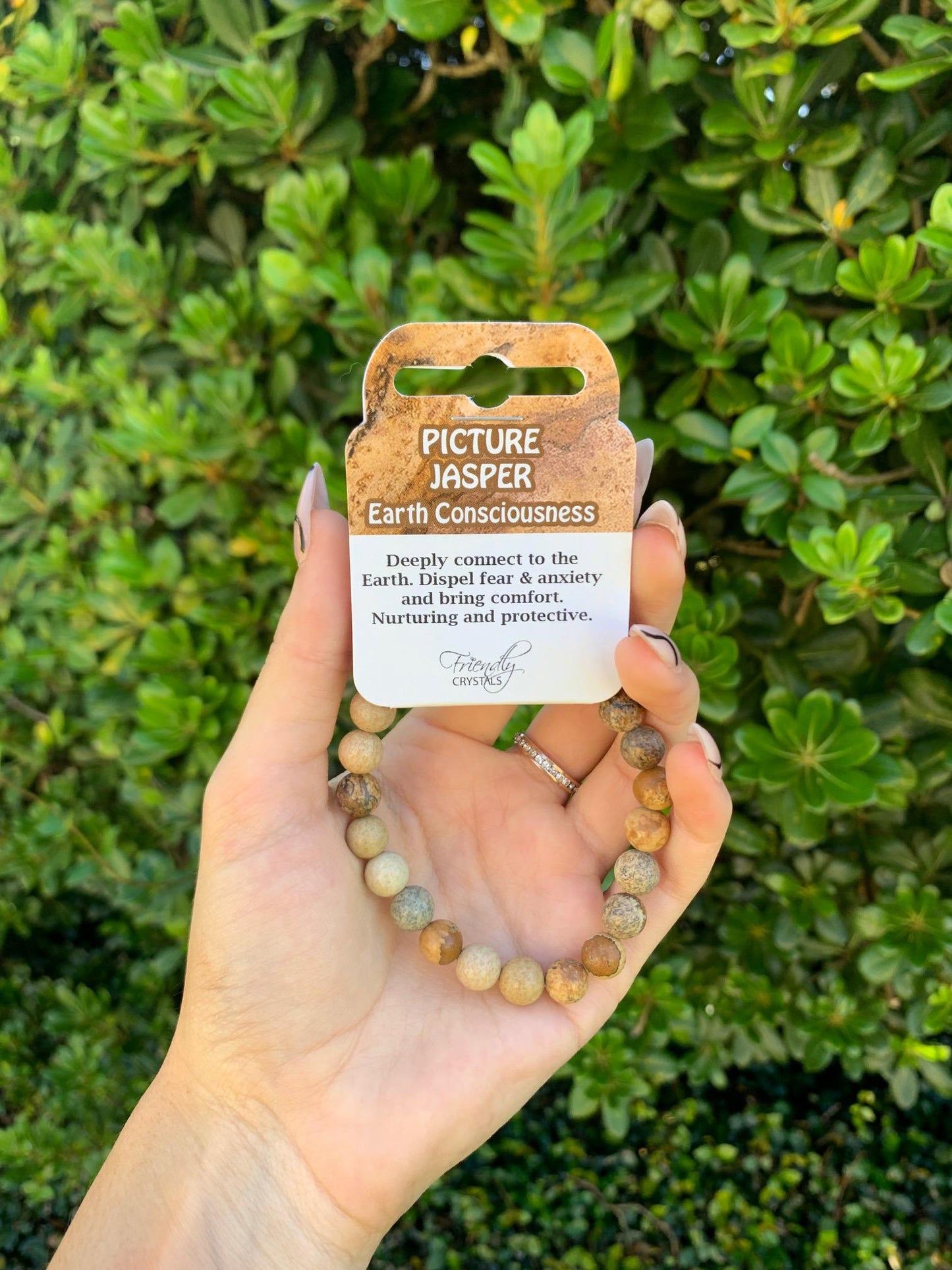 Picture Jasper Natural Stone Bracelet 8mm