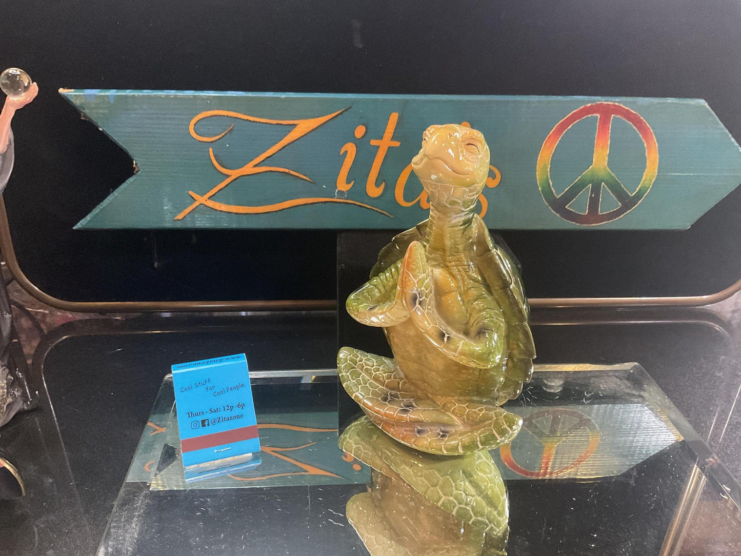 Meditating Sea Turtle