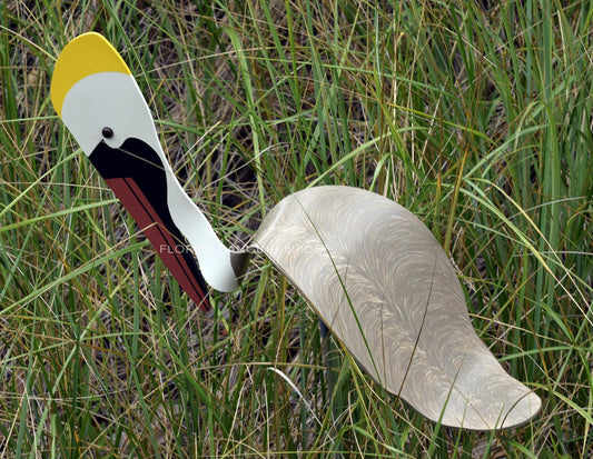 Brown Pelican Dancing Bird
