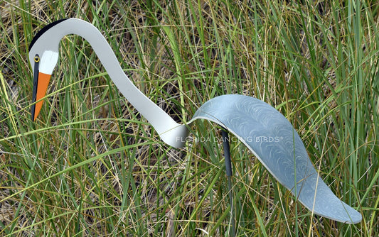Great Blue Heron Dancing Bird