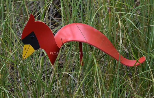 Cardinal Dancing Bird