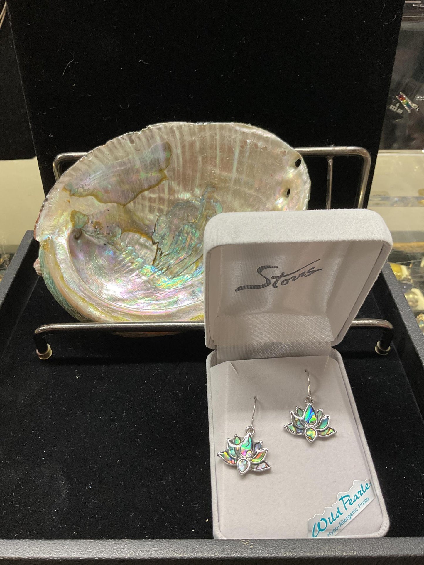 Storrs Wild Pearl Abalone Earrings (14 Styles)