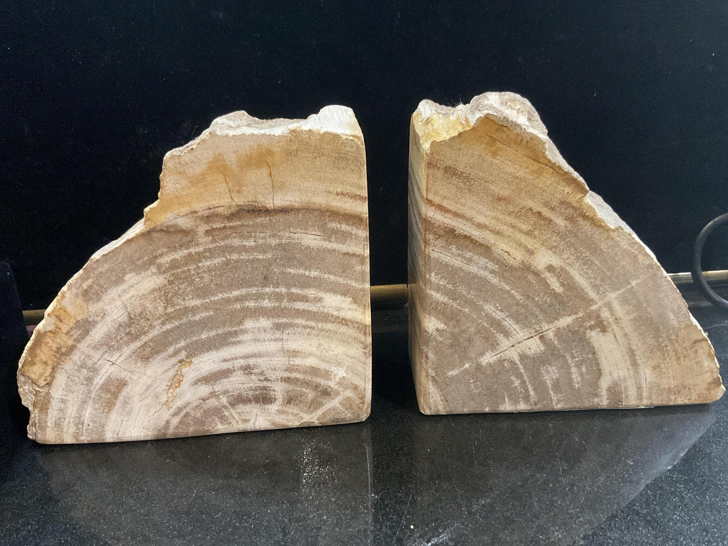 Petrified Wood Book Ends