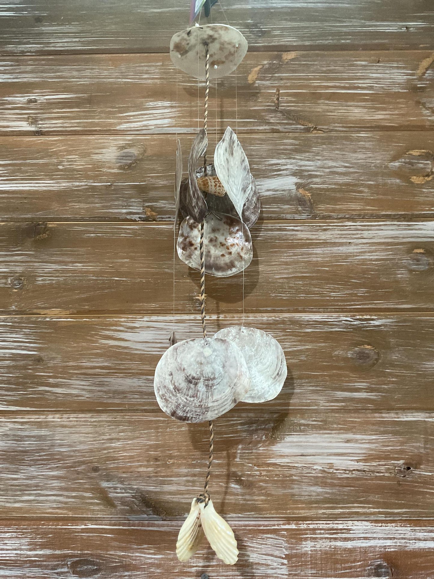 Placuna Vertical Layered Chime