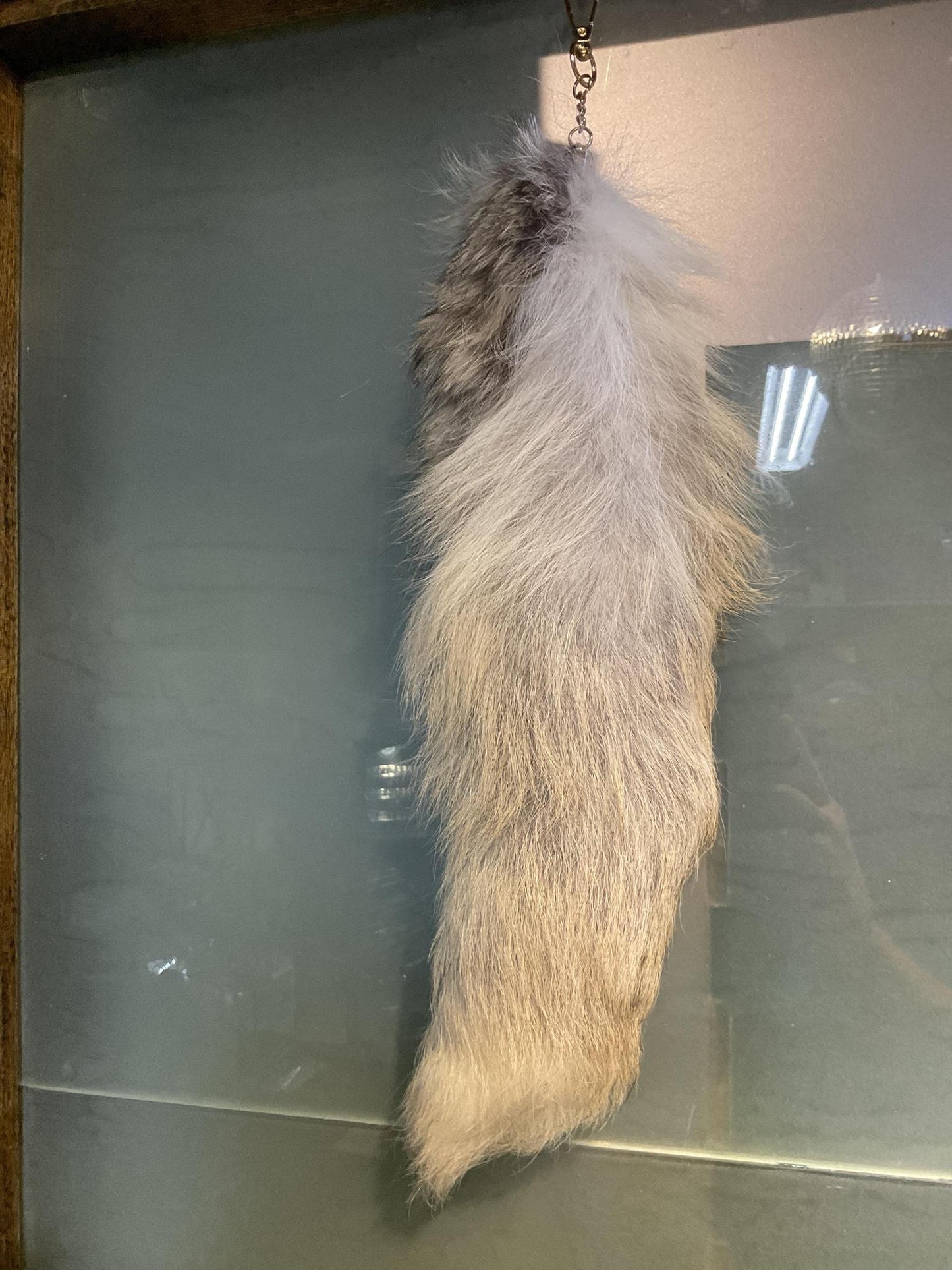 Fox Tails