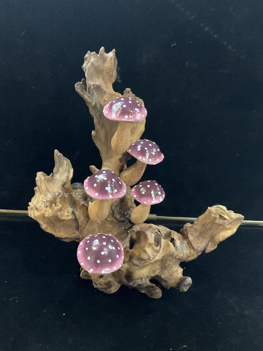 Purple Carved Mushrooms on Driftwood