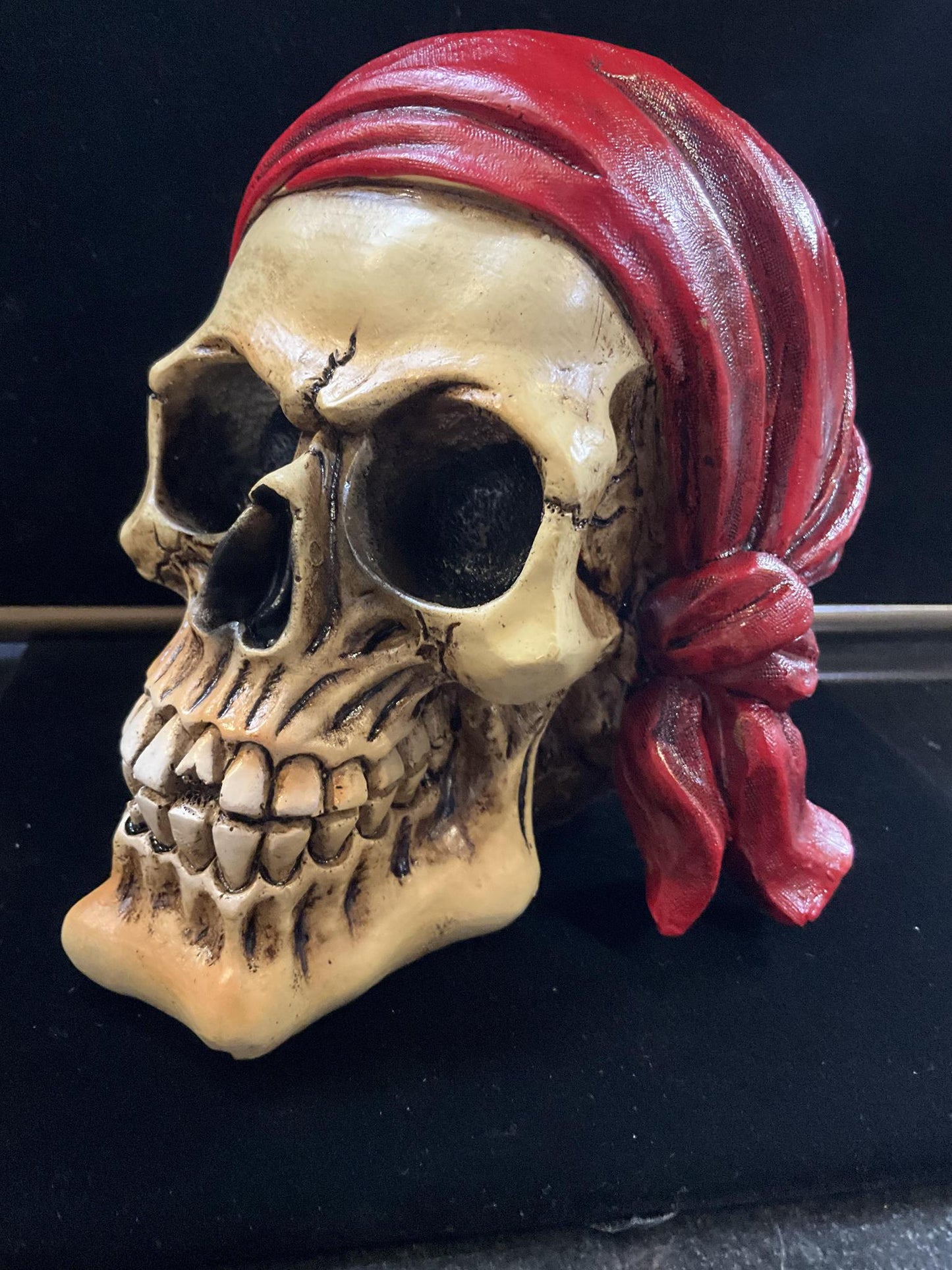 Pirate Skull with Red Headband