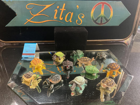 Miniature Turtles