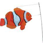 Clown Fish Swimming Fish