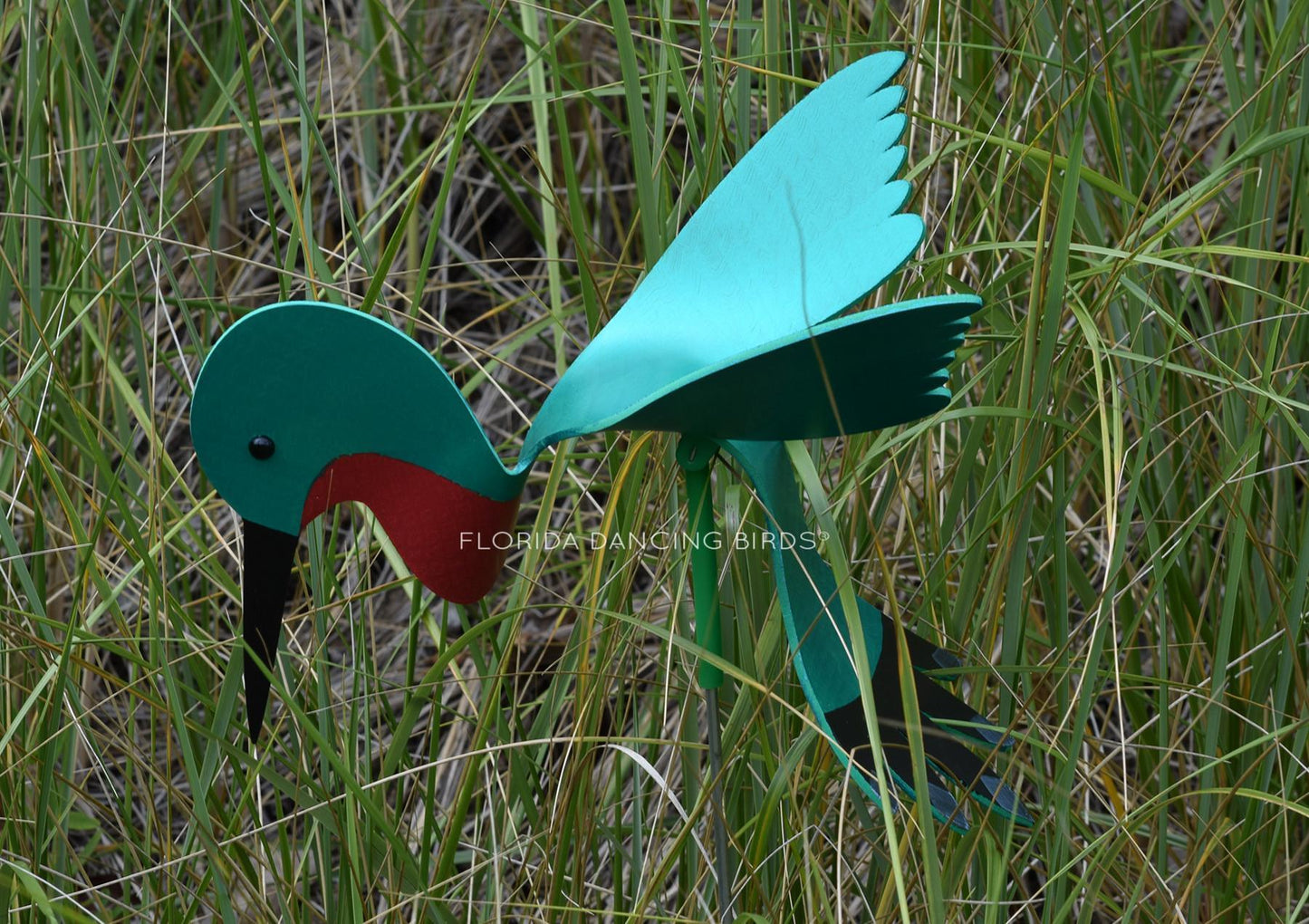 Hummingbird Dancing Bird
