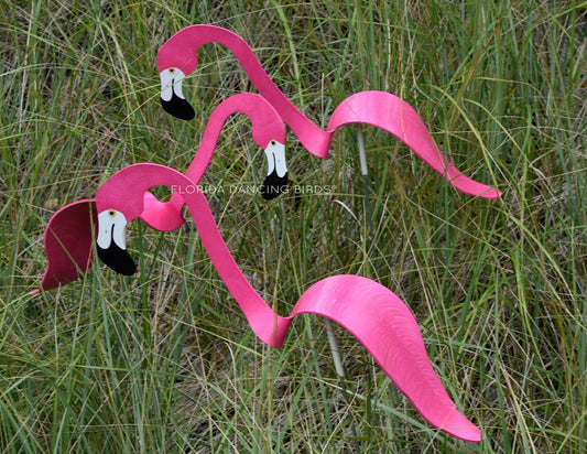 Hot Pink Flamingo Dancing Bird