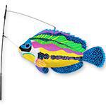 26532 Peacock Wrasse Swimming Fish