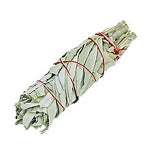 $5.50 Sage Bundles White 5-6"